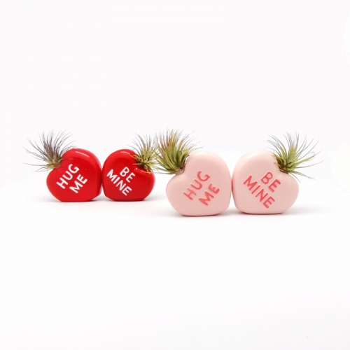 Heart Air Plant Mounting Bases With 2 Colors Assorted