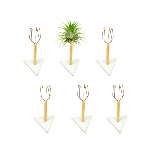 6Pack Air Plant  Sticks w/bases | 6Pcs  Air Plant Display Holders | S/6 Air Plant DIY Kit