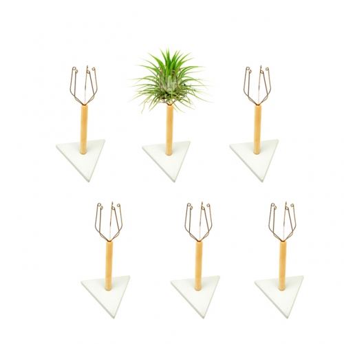 6Pack Air Plant  Sticks w/bases | 6Pcs  Air Plant Display Holders | S/6 Air Plant DIY Kit