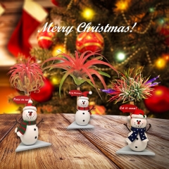 3/S Seasonal Air Plant Display Stand / Air Plant Holders W/3PCS Polyresin Snowmen For Xmas Decoration